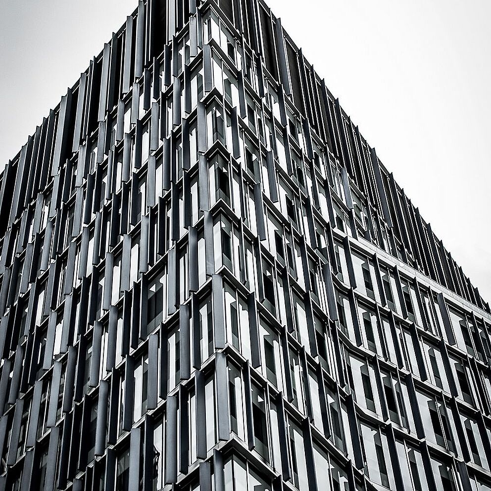 Image Gallery Image Gallery